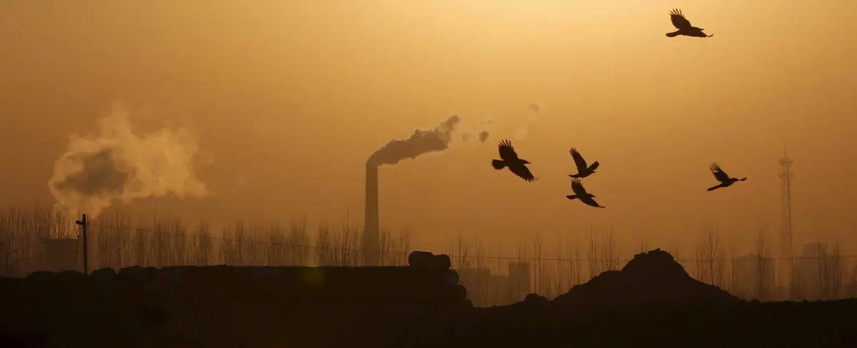 Registran disminución en los niveles de contaminación en China