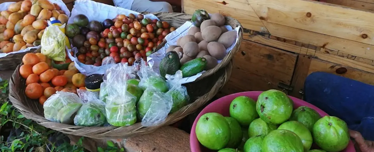 Feria de frutas y verduras es un éxito para el aporte de la alimentación