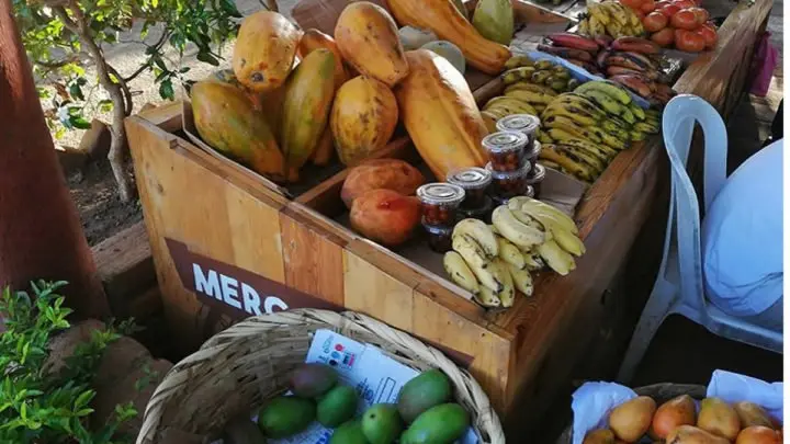 Feria de frutas y verduras es un éxito para el aporte de la alimentación 