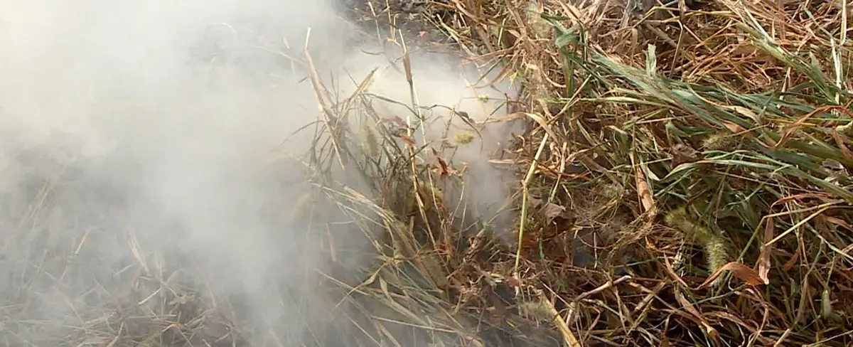 INAFOR continua plan de control de incendios forestales en municipios
