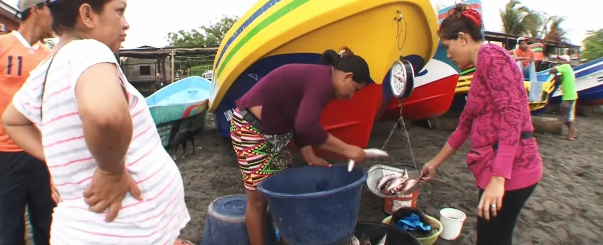 INPESCA reporta producción de 29 millones de libras de mariscos