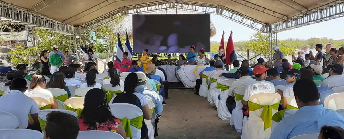 León: MARENA presenta informe de la Conservación de Tortugas Marinas