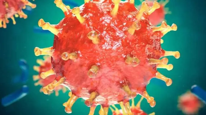  OMS contabiliza 76 países en total con casos de coronavirus