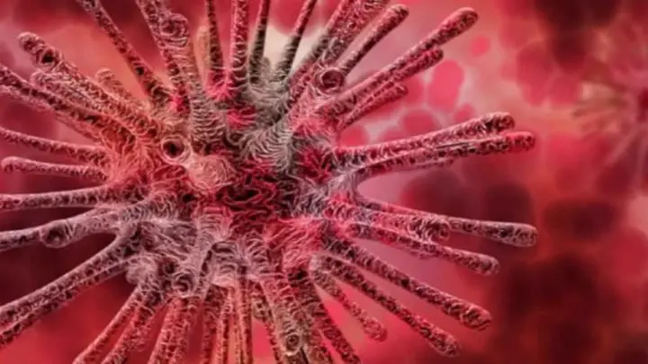 CentroamCentroamérica Unida contra el Coronavirus (COVID-19)érica Unida contra el Coronavirus (COVID-19)