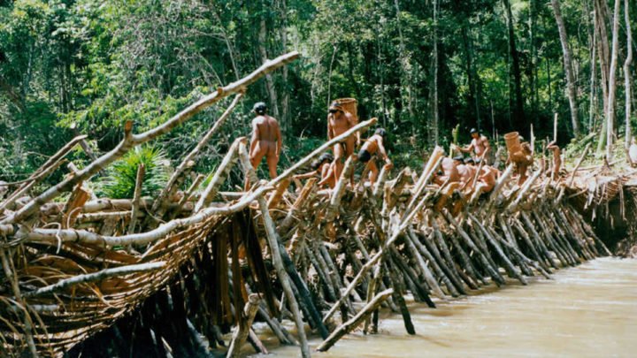 Prohíben a misioneros evangélicos visitar las tribus indígenas de Brasil 