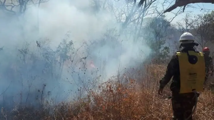 Ejército de Nicaragua logra sofocar incendio forestal en San Rafael del Sur