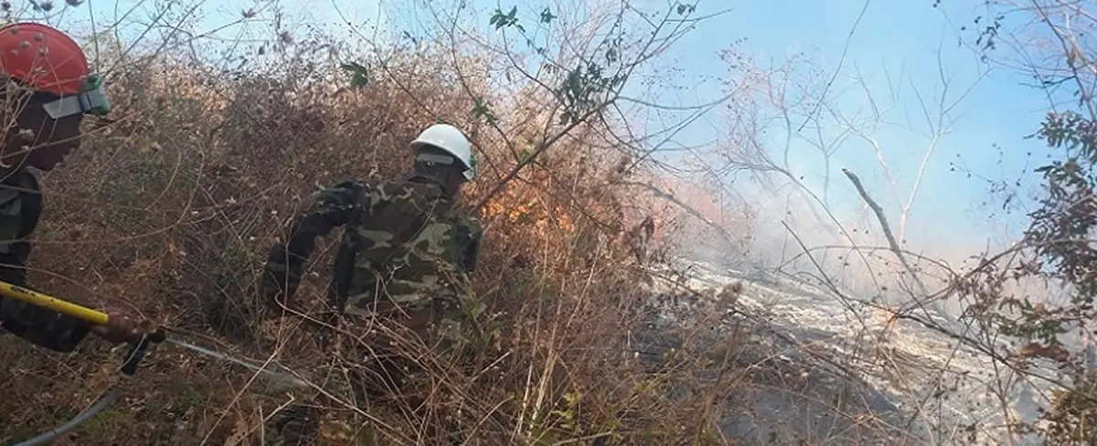 Ejército de Nicaragua logra sofocar incendio forestal en San Rafael del Sur