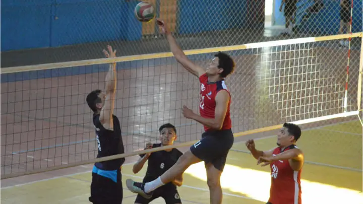 Campeonato Superior de Voleibol