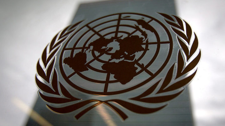 Organización de las Naciones Unidas (ONU)