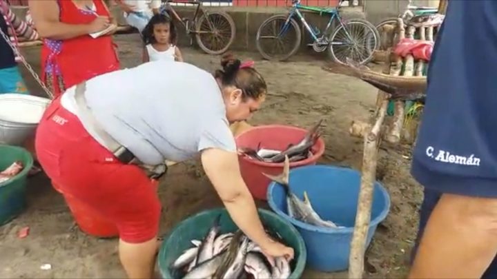 Mercados del país abastecidos con productos pesqueros
