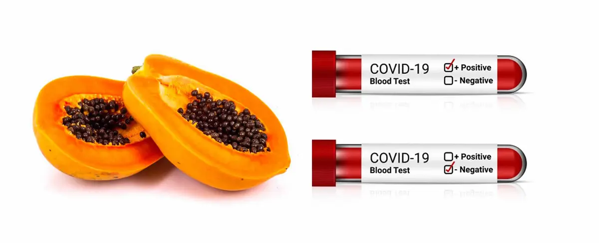 Una Papaya da positivo a Coronavirus en Tanzania