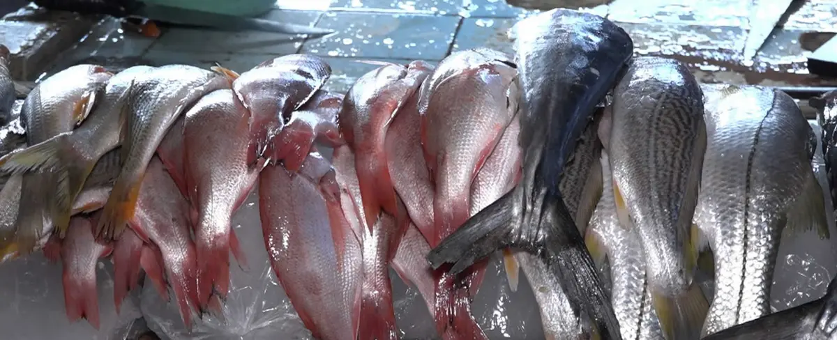 Conoce en que parte de Managua puedes comprar mariscos a precios bajos