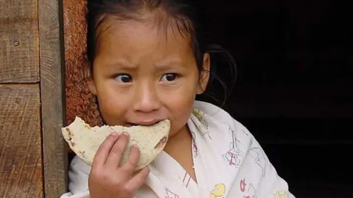 10 millones de niños podrán morir de hambre a causa del COVID-19