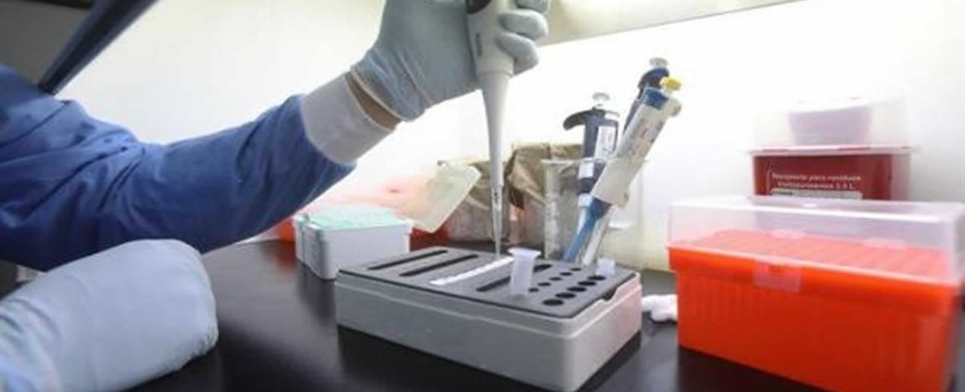 COVID-19: La clave está en el vínculo intermedio entre el murciélago y los humanos