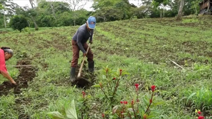 Agricultor de Masaya trabaja la tierra.