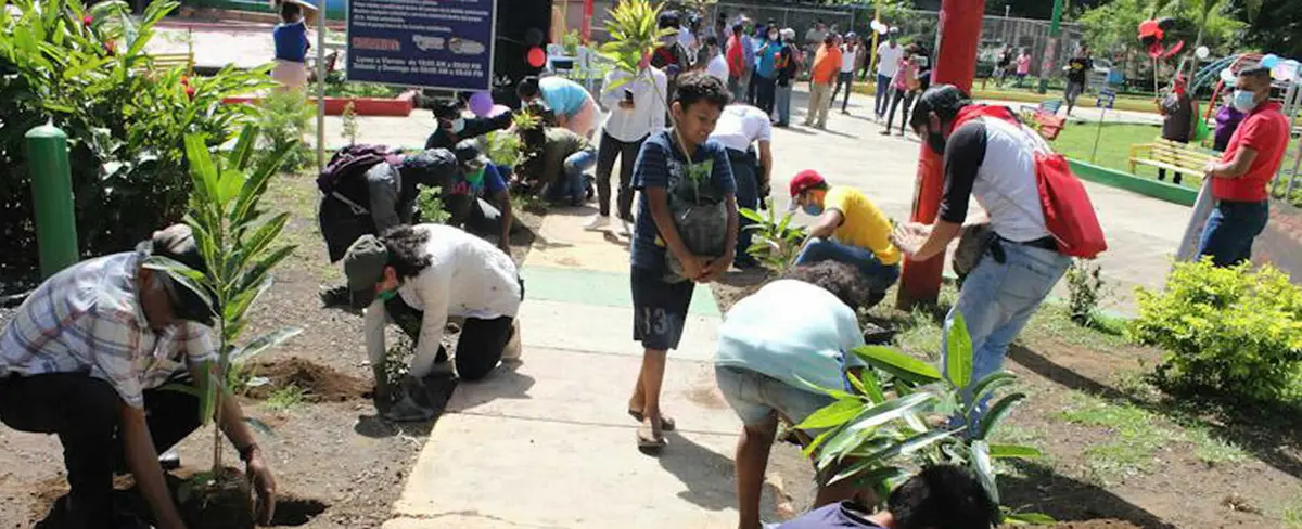 Conmemoran 41 años del Repliegue al Vapor con jornada de reforestación