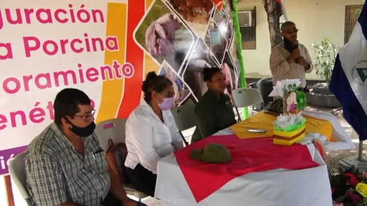 INTA inaugura granja porcina en Estelí para mejorar el material genético