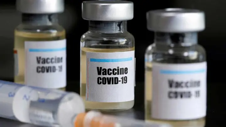 Plasma sanguíneo de caballo es usado como suero contra el COVID-19