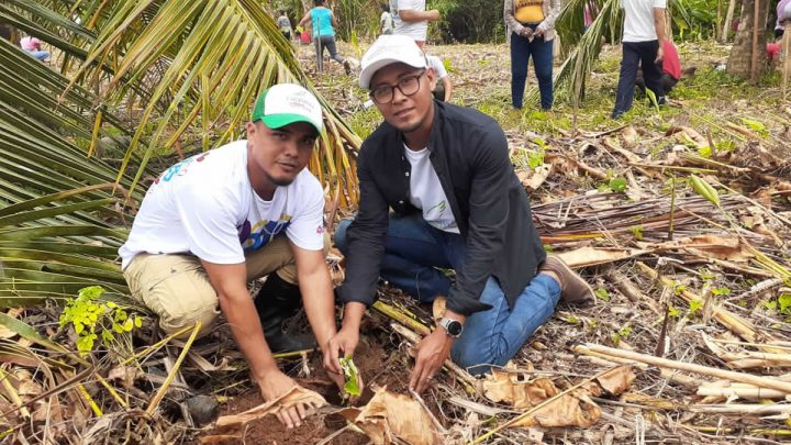Hombres sembrando planta en cruzada de reforestación.