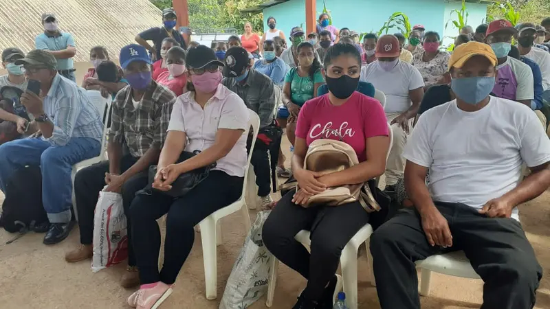 Productores de Bluefields aprenden experiencias de cultivo de cacao