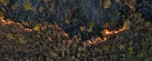 Incendios forestales en el pantanal brasileño alcanza las 40 mil hectáreas