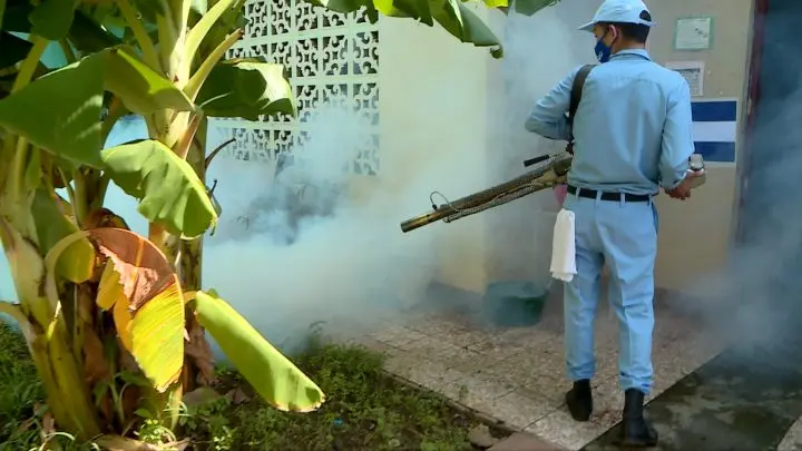 Brigadista fumiga patio trasero de una vivienda