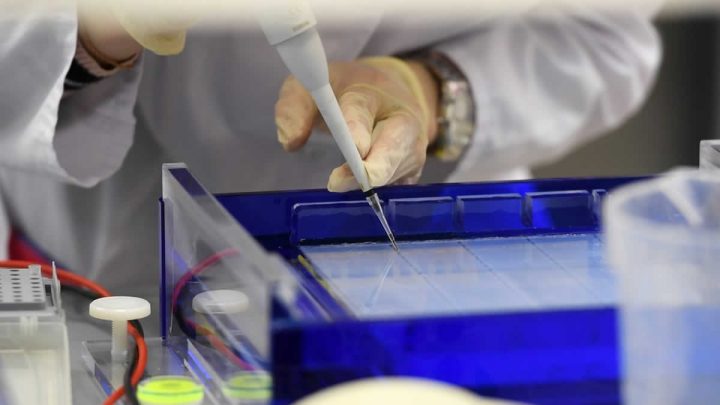 Especialista realizando pruebas de laboratorio.