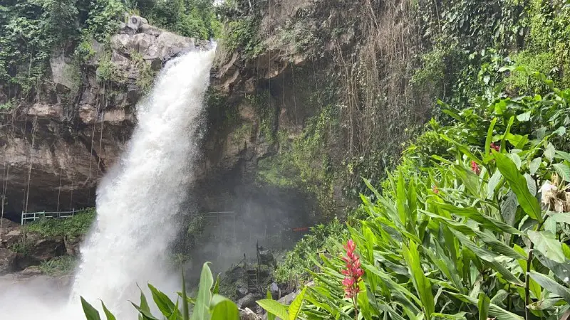 Conoce la Reserva Natural Salto Río Yasica y conéctate con la naturaleza