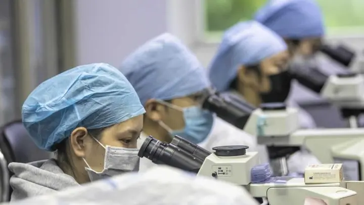 Científicos observan células madres en un microscopio