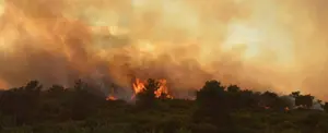 Voraz incendio causa estragos a la vida silvestre del Parque de Tsavo West en Kenia