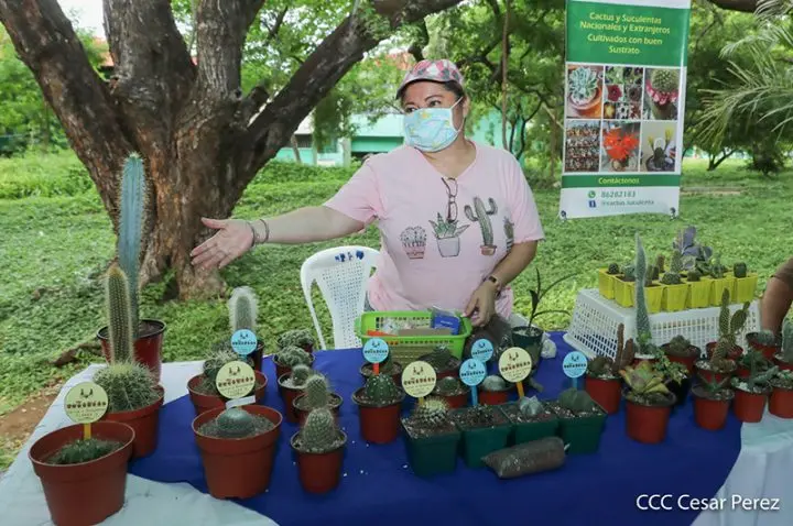 Con conciencia ambiental y orgullo patrio realizan feria en Managua