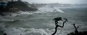 Huracán Teddy provocará olas de hasta 19 metros en costas de Estados Unidos