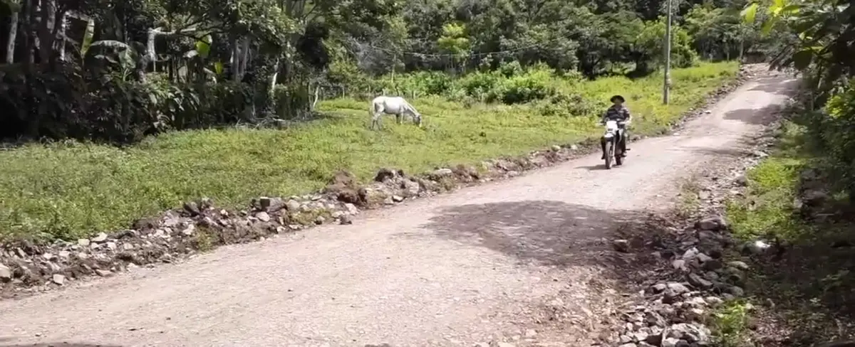 Alcaldías municipales continúan mejorando caminos productivos