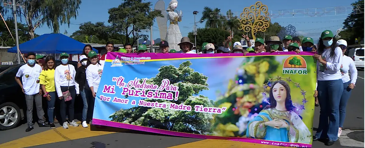 INAFOR lanza campaña “Un madroño para mi Purísima” en Managua