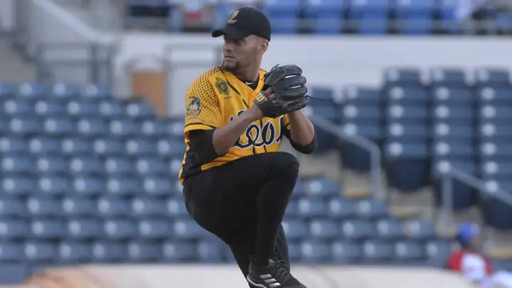 Jugador Profesional de Béisbol
