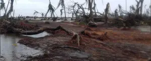 Huracán Iota y Eta deja pérdidas de 742 millones de dólares en Nicaragua