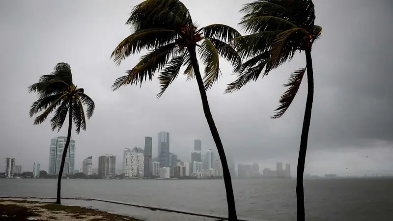 tormenta ETA afecta florida