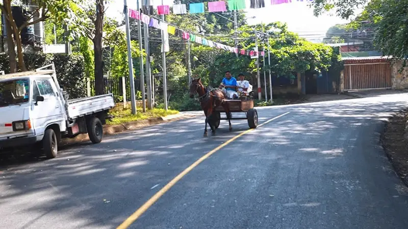 Habitante en "carreta" transitando por una calle.