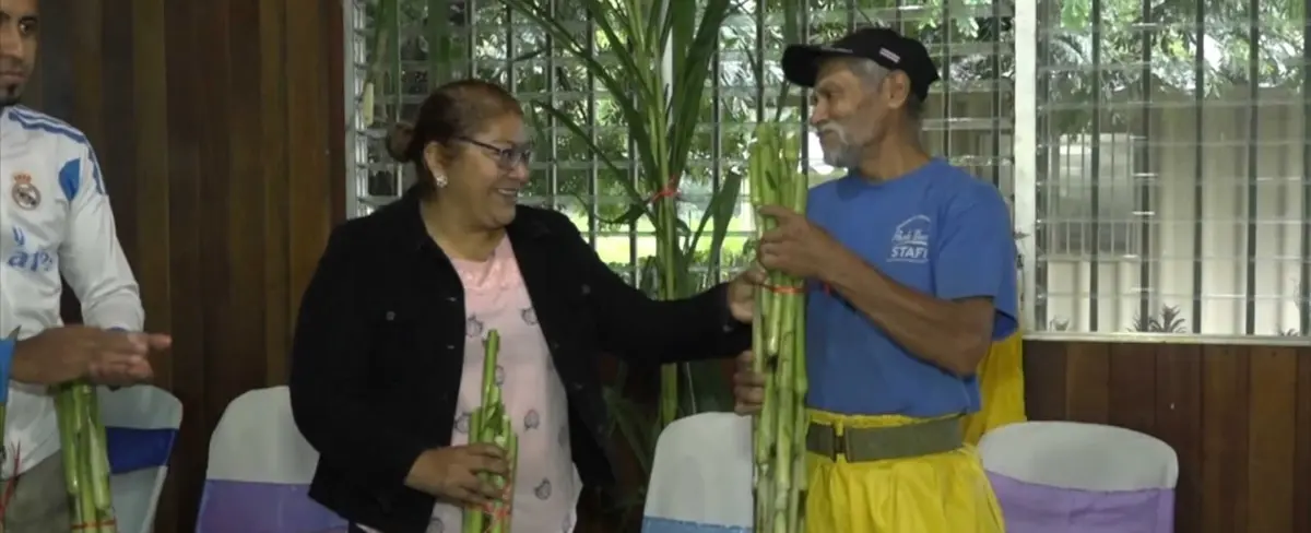 Productores de Masatepe adquieren pasto rendidor para ganado