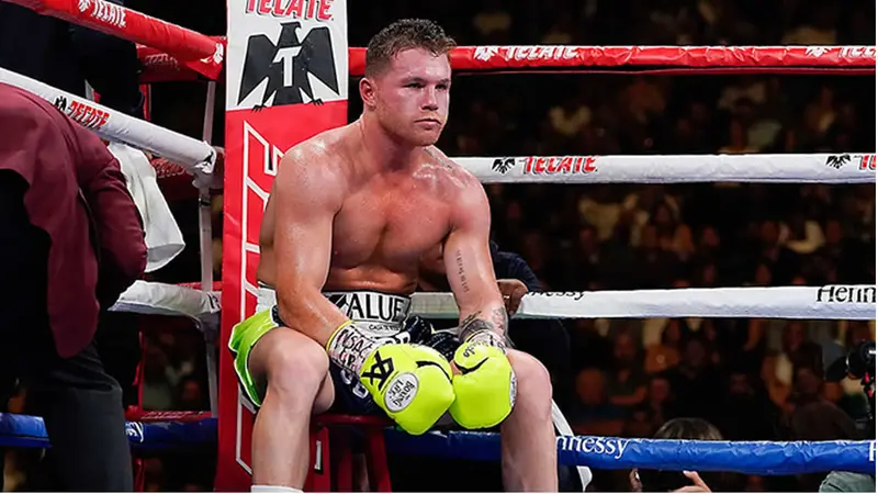 canelo en el cuadrilatero