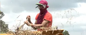 Sector económico cierra el año 2020 con gran flujo comercial en Nicaragua
