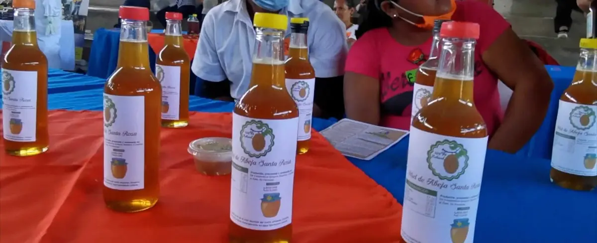 Nicaragua con dulces esperanzas, produciendo miel en Nueva Segovia