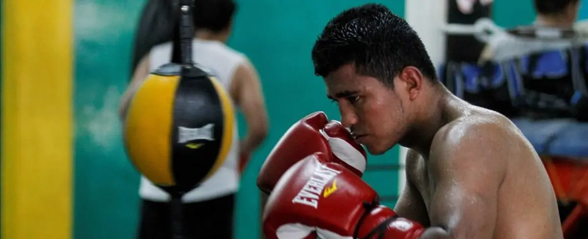 Revancha de Chocolatito ante Gallo Estrada tendrá que esperar