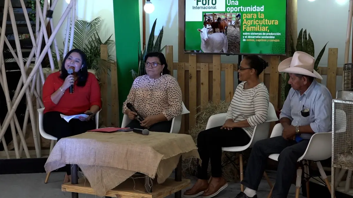 MEFCCA fortalece estrategia productiva y reproductiva de ovinos