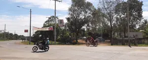 Nuevas carreteras impulsan el emprendimiento creativo