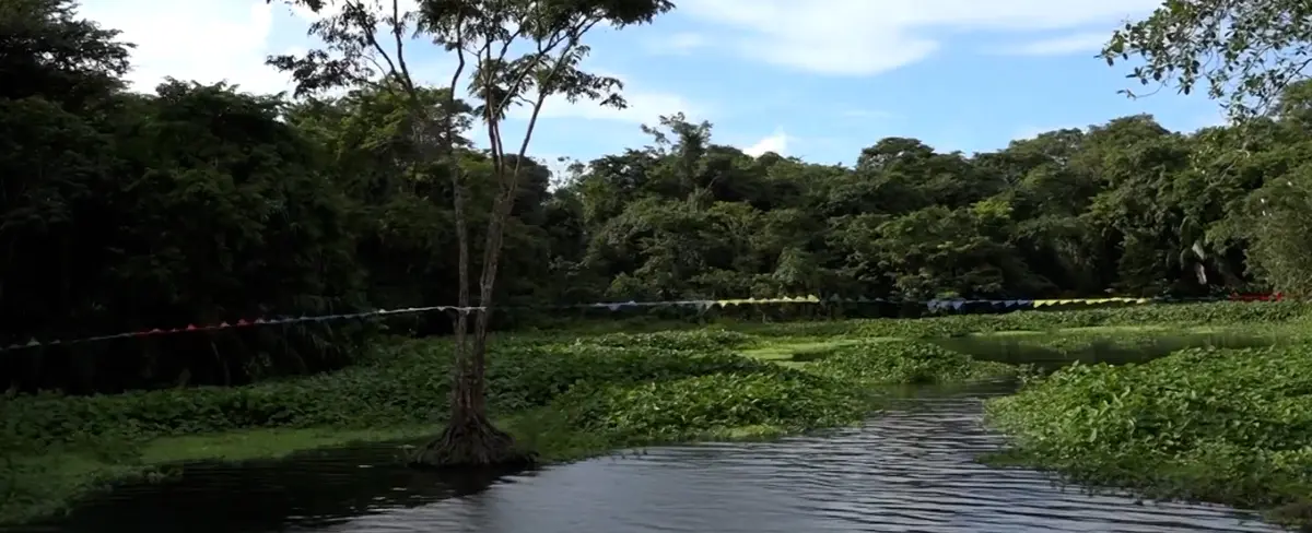 Conocé el Parque Municipal Ecológico "Water Side" en el Caribe Sur