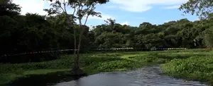Conocé el Parque Municipal Ecológico "Water Side" en el Caribe Sur