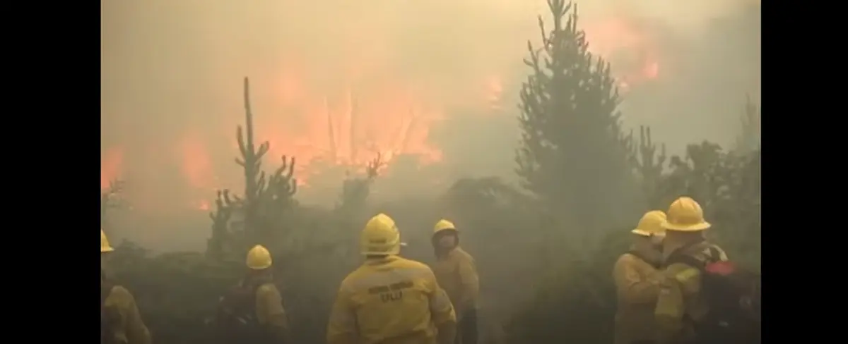 Más de10 mil hectáreas de bosque se incendian en Argentina