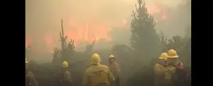 Más de10 mil hectáreas de bosque se incendian en Argentina