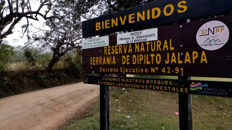Autoridades lanzan campaña para prevenir incendios forestales en Dipilto